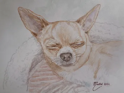 Собака. Рисунок масляной пастелью | Пикабу