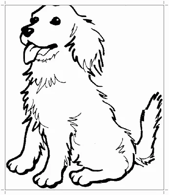Вектор рисунка линии головы собаки миниатюрного пинчера. ручной рисунок с  прозрачным фоном, реалистичный силуэт домашнего животного. | Премиум векторы