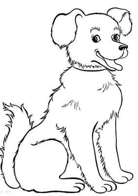 Собака с сердцем.. Непрерывная рисунок красивой собаки Иллюстрация штока -  иллюстрации насчитывающей икона, художничества: 206466521