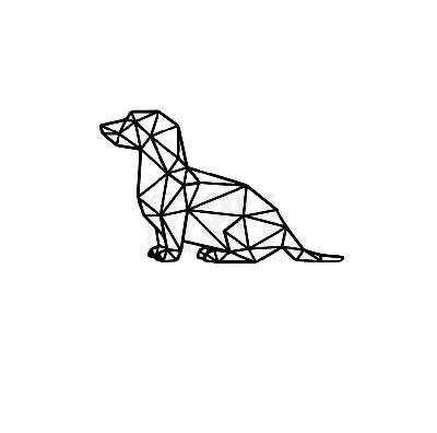 Собаки срисовки легкие пошаговые (800 рисунков) рисунки для начинающих  карандашом простые идеи красивые картинки