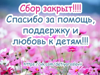 Спасибо за помощь, это безумие!»: Восхищенные поддержкой мобилизованные  бойцы записали видео с благодарностью жителям Кубани - KP.RU