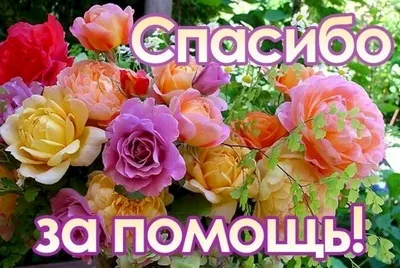 Скажите спасибо за помощь» – стартовала акция «Благодарю!» | Новости |  Краснотурьинск.инфо