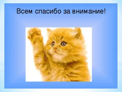 спасибо за просмотр иллюстрация штока. иллюстрации насчитывающей для -  222166552