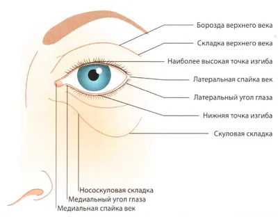 Как уберечь здоровье глаз: правила для сохранения зрения
