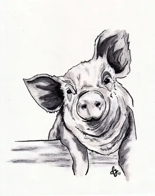 Красочный стилизованный рисунок свиньи Векторное изображение ©AnnaSuchkova  158190480