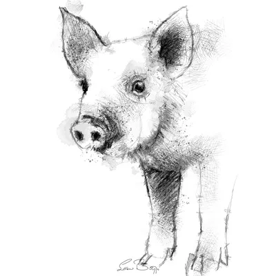 Картинки на тему #Свинья - в Шедевруме