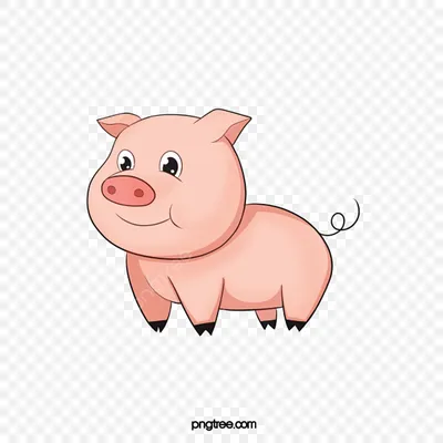 рисунок свиньи который можно распечатать, раскрасить картинки свиней,  домашний скот, животное фон картинки и Фото для бесплатной загрузки