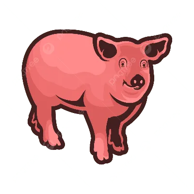 Рисованная иллюстрация свиньи | Премиум векторы