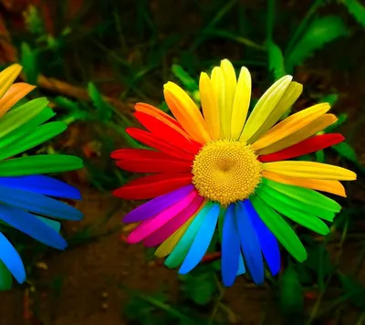 Цветик семицветик» — создано в Шедевруме