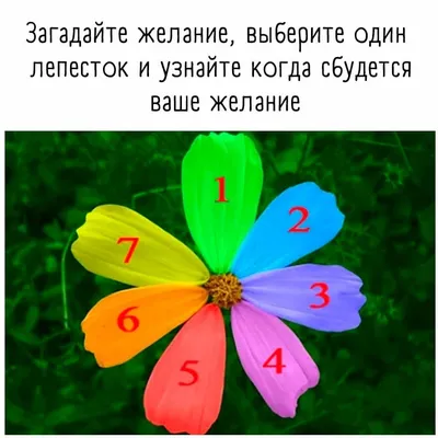 Цветик-семицветик, Валентин Катаев – скачать pdf на ЛитРес