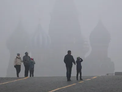 Фотообои Туман в лесу купить в Москве, Арт. 9-968 в интернет-магазине, цены  в Мастерфресок