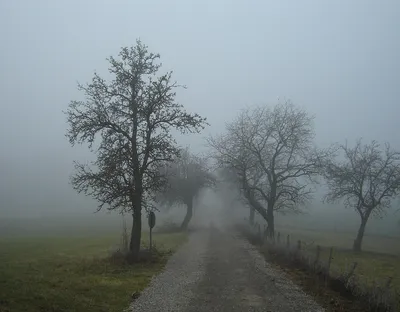 туман — Викисловарь