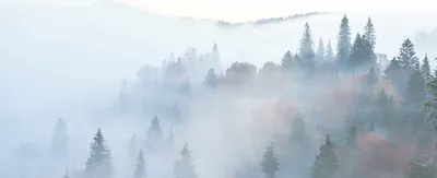 Туман текстура - 59 фото