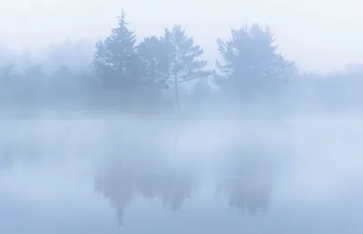 Природа Туман На Открытом Воздухе - Бесплатное фото на Pixabay - Pixabay