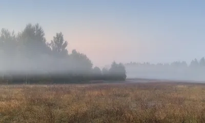 картинки : пейзаж, море, горизонт, туман, поле, прерия, утро, холм,  пустыня, рассвет, Погода, мгла, почва, Равнинный, Пастбище, плато,  Экосистемный, Степь, окружающая среда, Атмосферное явление 3264x2448 - -  35315 - красивые картинки - PxHere