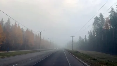 Туман на дорогах: основные правила безопасности движения назвали в ГАИ -  02.02.2021, Sputnik Беларусь