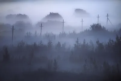 Густой туман окутал Владивосток 16 декабря - PrimaMedia.ru