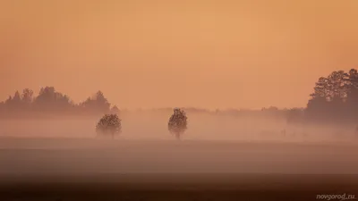 Утренний туман | Пикабу