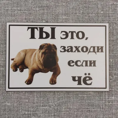 Картинка ты заходи если че фотографии