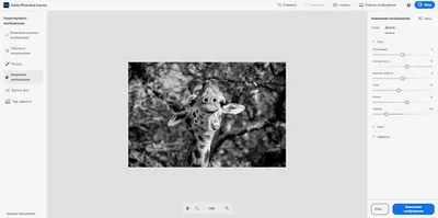 Как сделать фотографию черно-белой в Photoshop и бесплатных  онлайн-редакторах