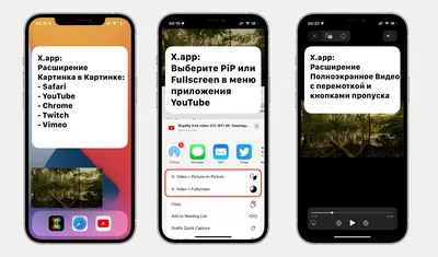 X.app: Расширение Картинка в Картинке + Полноэкранное видео для iPhone и  iPad, работает в Safari, YouTube и Chrome. — Teletype