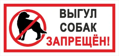 Табличка \"Выгул собак запрещен\" 200х300 мм ПВХ 2-5 мм УФ печать (не  выгорает на солнце) (Ф) — купить в интернет-магазине по низкой цене на  Яндекс Маркете