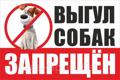 Таблички и знаки «Выгул собак запрещён» - фотоблог о путешествиях