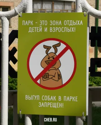Пластиковая табличка \"Выгул собак запрещен\"