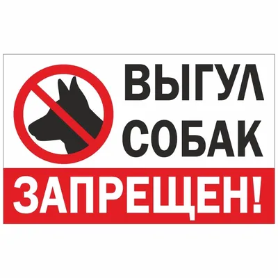 Табличка \"На территории школы выгул собак запрещен!\"