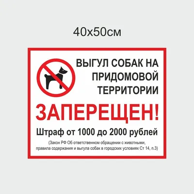 Табличка Выгул собак на детской площадке запрещен! 30х15 см (код 91209) |  Компания FoxPrint