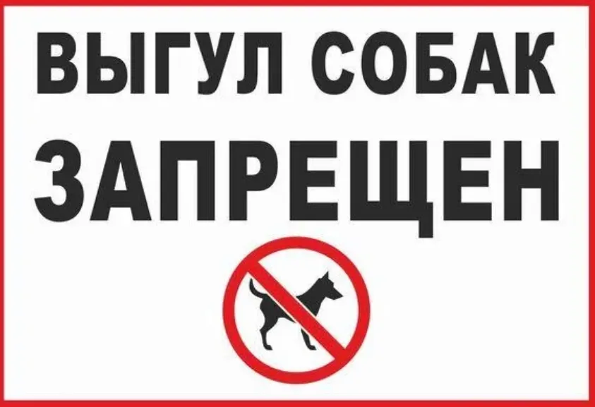 Выгул Собак Цена