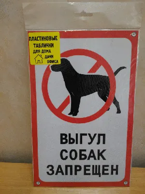 Табличка «Выгул собак запрещен!»: шаблоны, примеры макетов и дизайна, фото