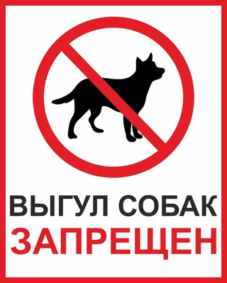 Табличка информационная \"Выгул собак запрещен\" — купить в интернет-магазине  по низкой цене на Яндекс Маркете