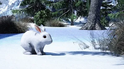 Фотография зайца зимой.