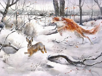 Охота на зайца зимой с подхода