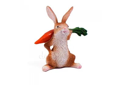 Раскраска Заяц с морковкой распечатать или скачать