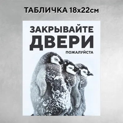 Табличка Закрывайте пожалуйста, дверь 200х200мм купить с доставкой в  МЕГАСТРОЙ Россия