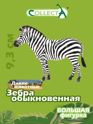 Schleich 14810 Фигурка Зебра кобыла - купить с доставкой по выгодным ценам  в интернет-магазине OZON (263191337)