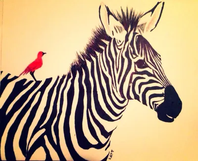 Zebra Африка Зебра - Бесплатное фото на Pixabay - Pixabay