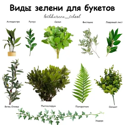 Конусный пакет для свежей зелени купить оптом в интернет-магазине |  EdaProf.ru