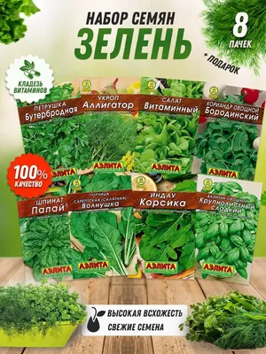 Набор пряно-овощной зелени, 30г - купить с доставкой в Самаре в Перекрёстке