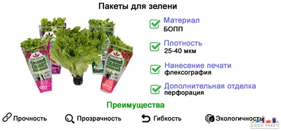 Замороженные витамины. Что делать с заготовками из зелени | Продукты и  напитки | Кухня | Аргументы и Факты