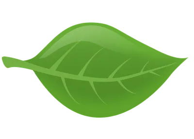зеленые листья стоковое изображение. изображение насчитывающей живо -  15509933