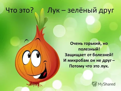 Зеленый лук - польза и вред для женщин, мужчин, детей — online.ua
