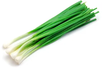 Как заморозить зеленый лук?