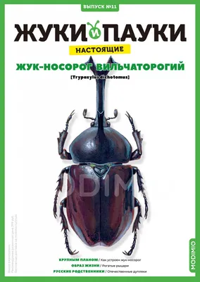 Брошь жук купить в интернет магазине в Москве