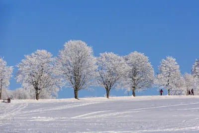 Будет ли в Европе больше снега этой зимой? Как Эль-Ниньо может повлиять на  погоду | Euronews