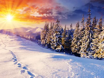 Рисунок природа зима - 58 фото