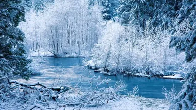 Зима Природа На Открытом Воздухе - Бесплатное фото на Pixabay - Pixabay