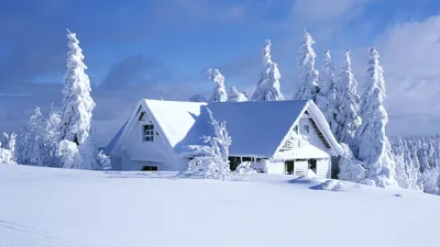 Жители выкладывают в Telegram фото зимней природы в Колодищах. Посмотрите,  какая красота! – Колодищи Инфо